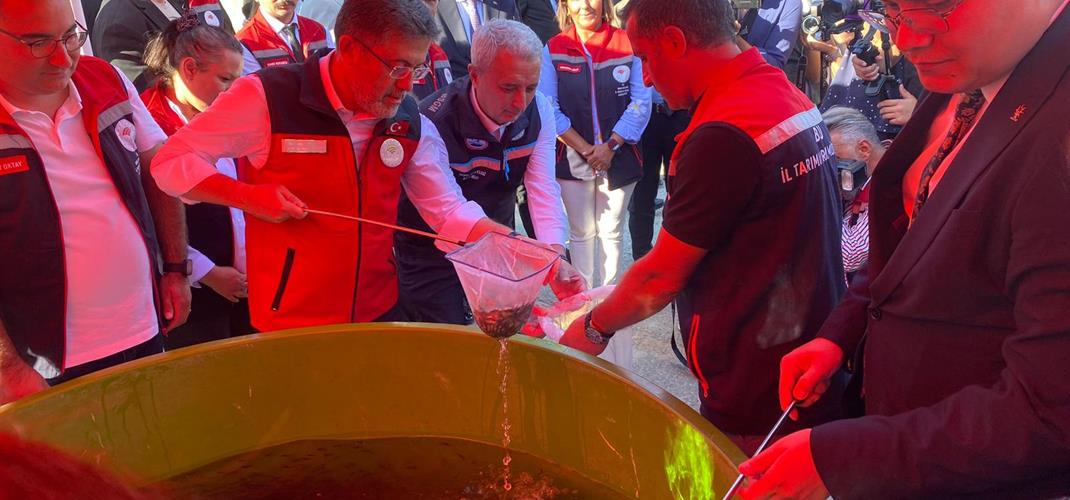 Bakanımız Sayın İbrahim YUMAKLI tarafından Bakanlığımıza bağlı Gölköy Balık Üretim İstasyonundan uğurlanan yavru pullu sazanlar, göletlerimizde suyla buluştu.