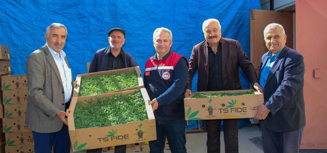 135.000 ADET FİDE DAĞITIMINI GERÇEKLEŞTİRDİK 